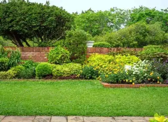 landscaping services Hillcrest Heights